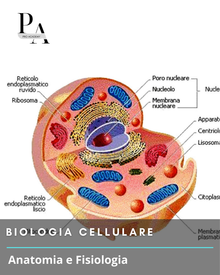 Biologia Cellulare